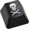  пиратство,  Австралия,  web-сайт