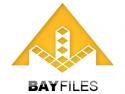 Петер Сунде,  Фредрик Нейж,  The Pirate Bay, файлообменный сервис, BayFiles
